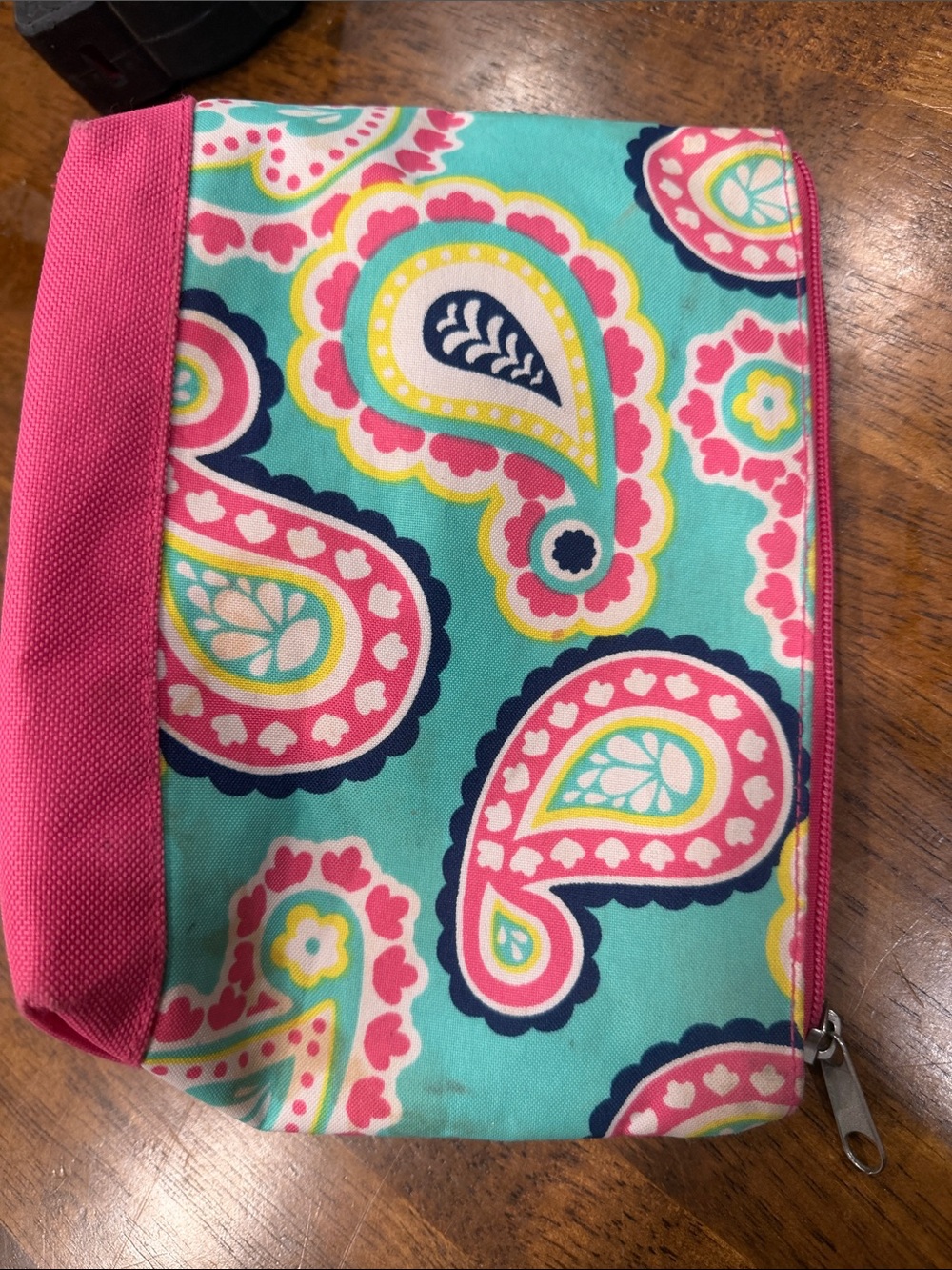 Makeup Bag Pouch in Teal and Pink Paisley